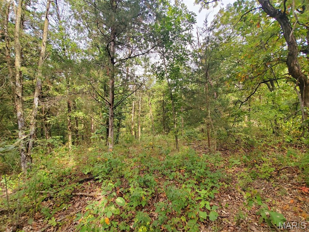 28148 Commanche Trail Canton, MO 63435 - Photo 90 of 93