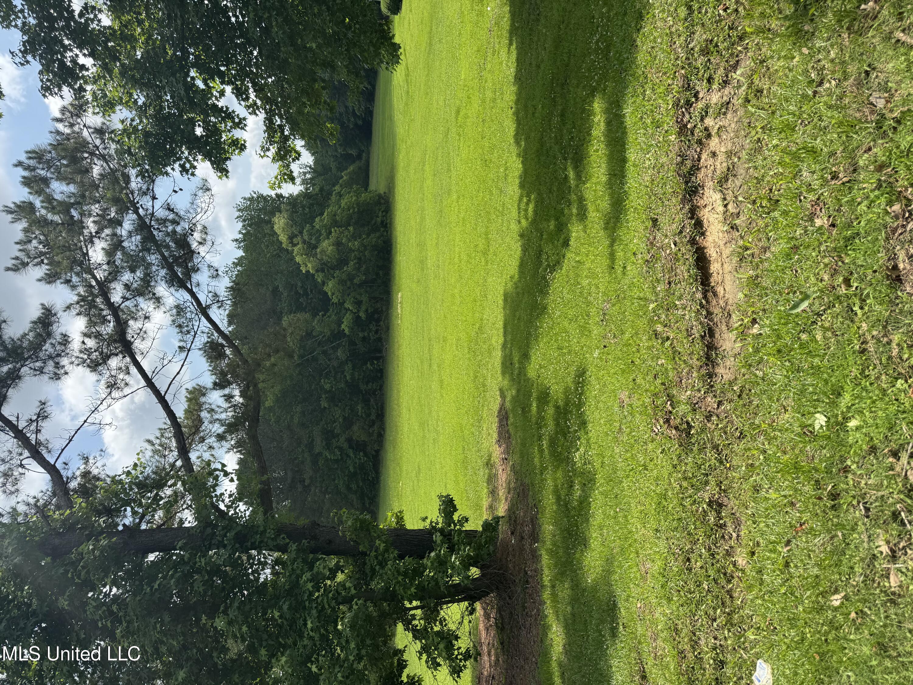 Hickory Road Ridgeland, MS 39157 - Photo 1 of 2 Primary