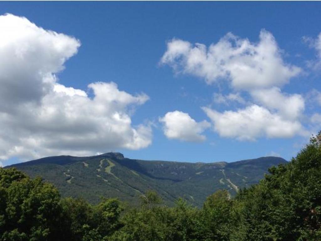 278 Thomas Pasture Road Stowe, VT 05672 - Photo 25 of 32 Gallery Image 25