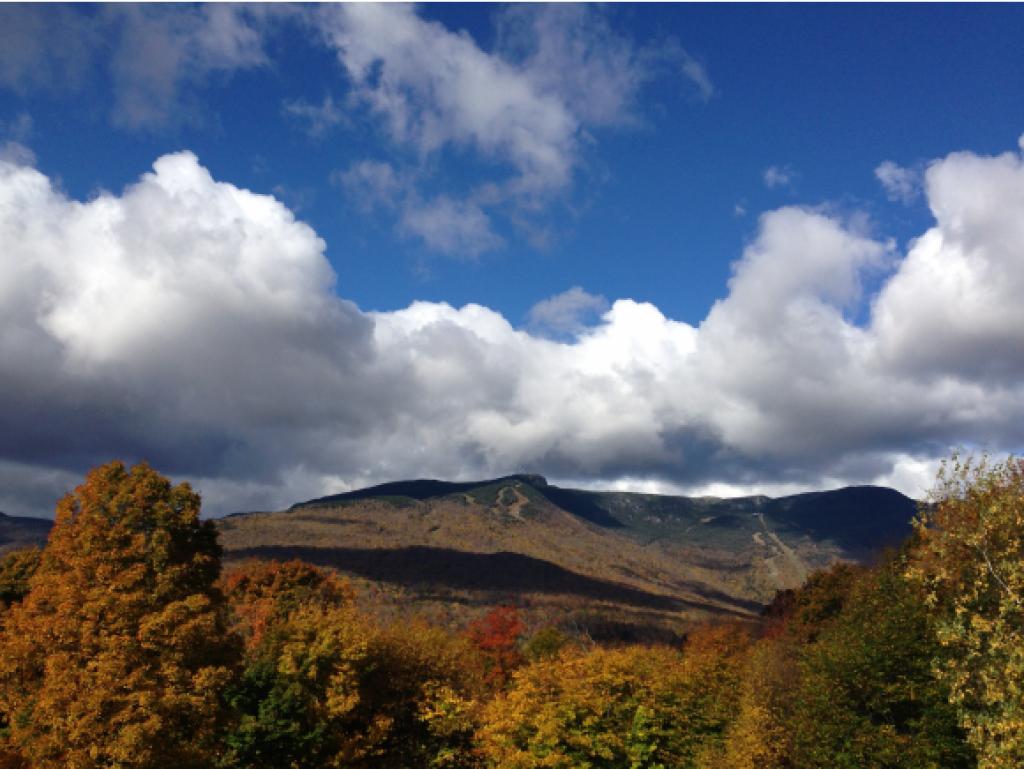 278 Thomas Pasture Road Stowe, VT 05672 - Photo 26 of 32 Gallery Image 26