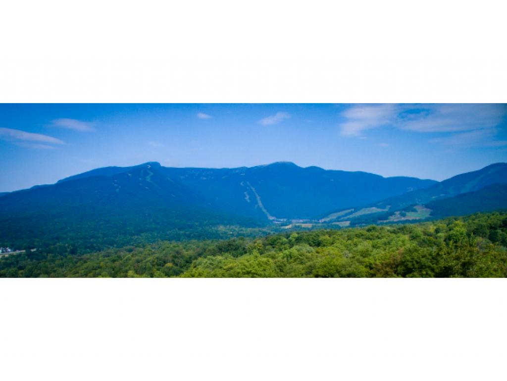 278 Thomas Pasture Road Stowe, VT 05672 - Photo 27 of 32 Gallery Image 27