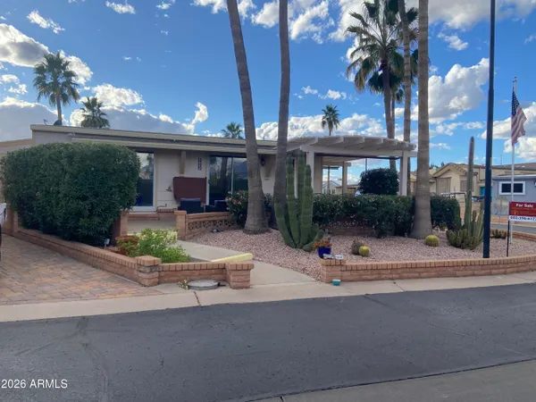 a view of a terrace with chairs and potted plants