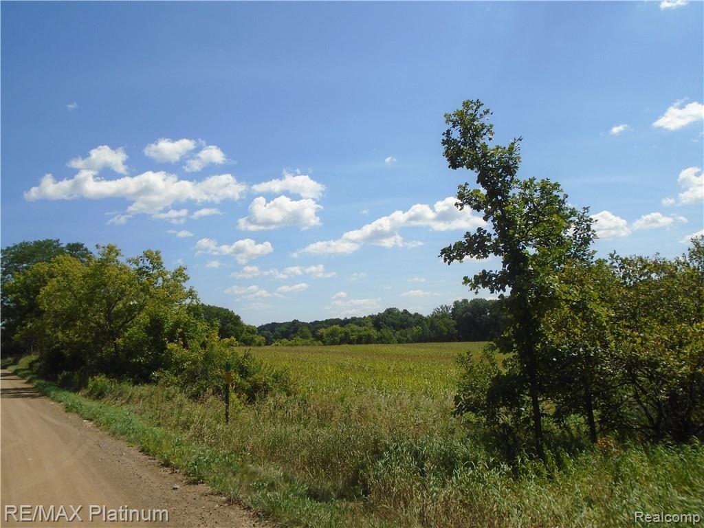 D 2 Germany Road Fenton, MI 48430 - Photo 24 of 27