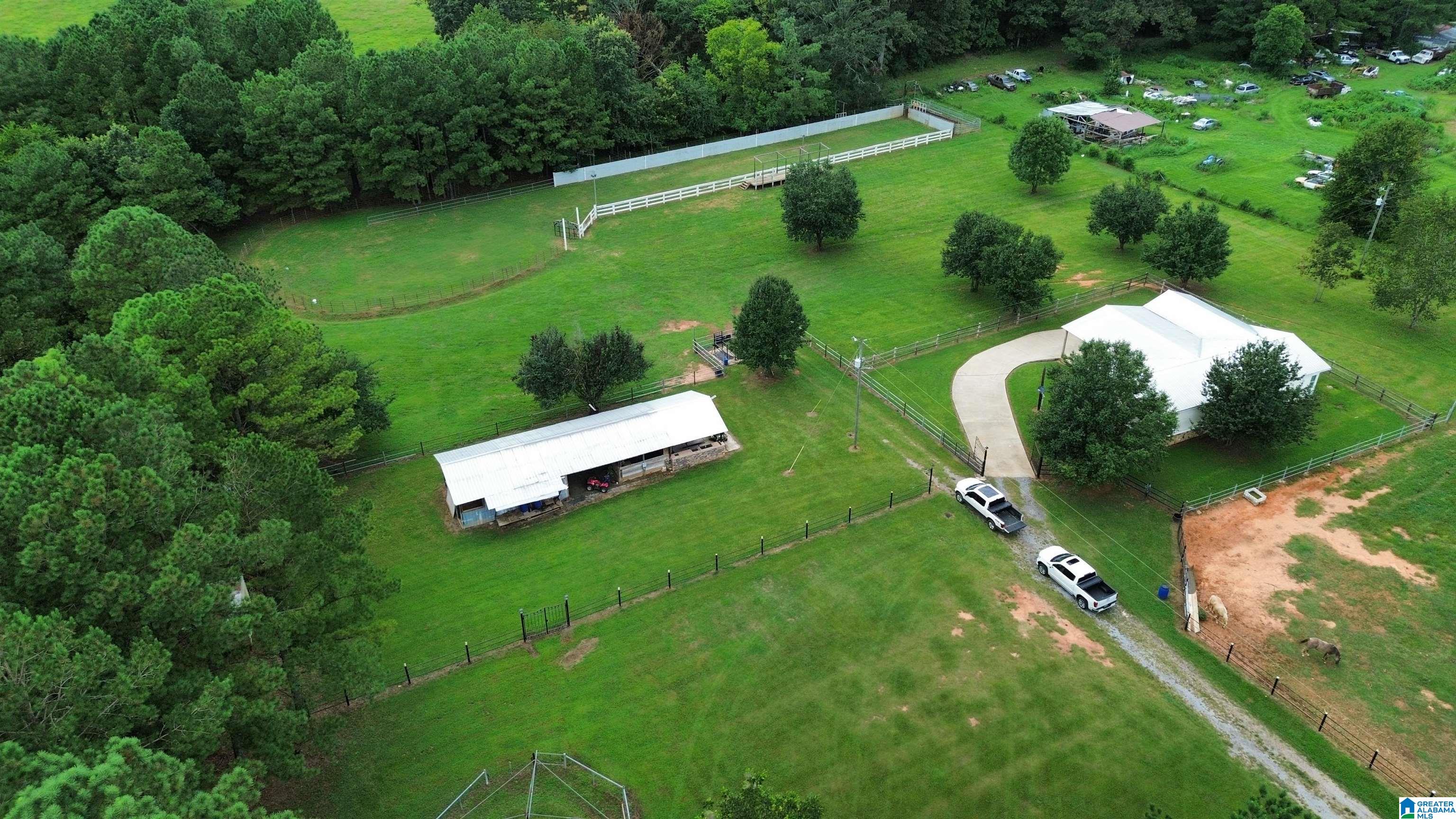 319 Kymulga Road Childersburg, AL 35044 - Photo 26 of 58