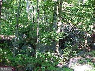 0 Swamp Creek Road Sumneytown, PA 18084 - Photo 5 of 5 Gallery Image 5