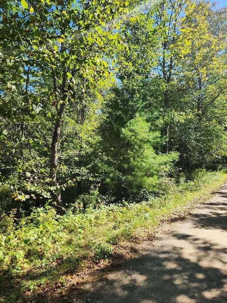28 Cemetery Road Montville, ME 04941 - Photo 4 of 7 20240909205012212786000000-o