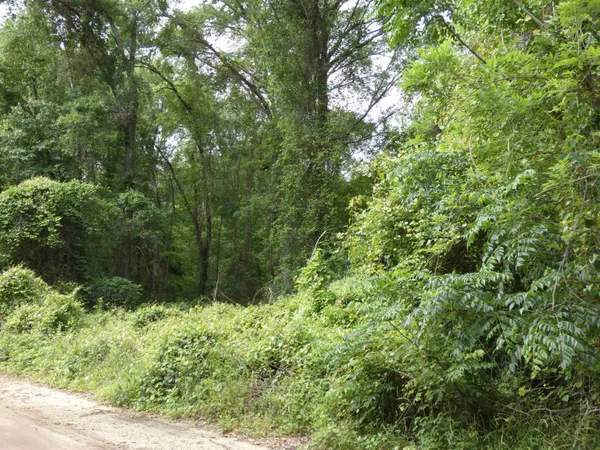 $69,000 | Tbd East 2nd Way, Greenville, FL 32331