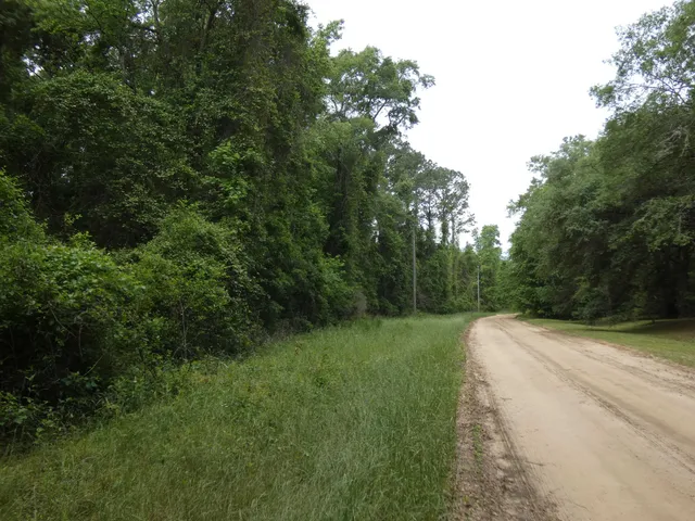 $69,000 | Tbd East 2nd Way, Greenville, FL 32331