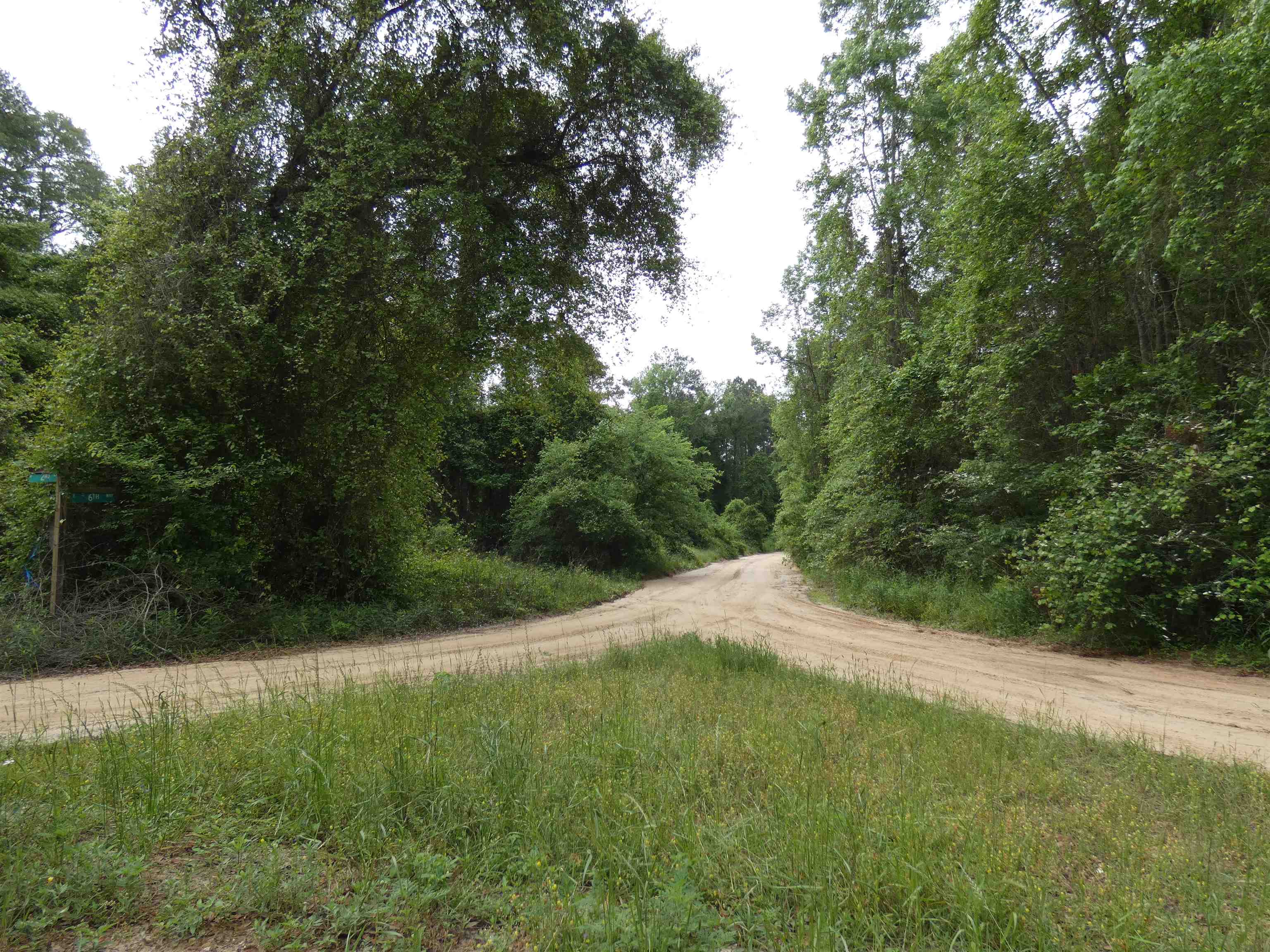 Tbd East 2nd Way Greenville, FL 32331 - Photo 5 of 8