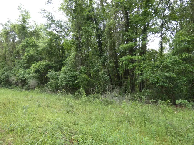 $69,000 | Tbd East 2nd Way, Greenville, FL 32331