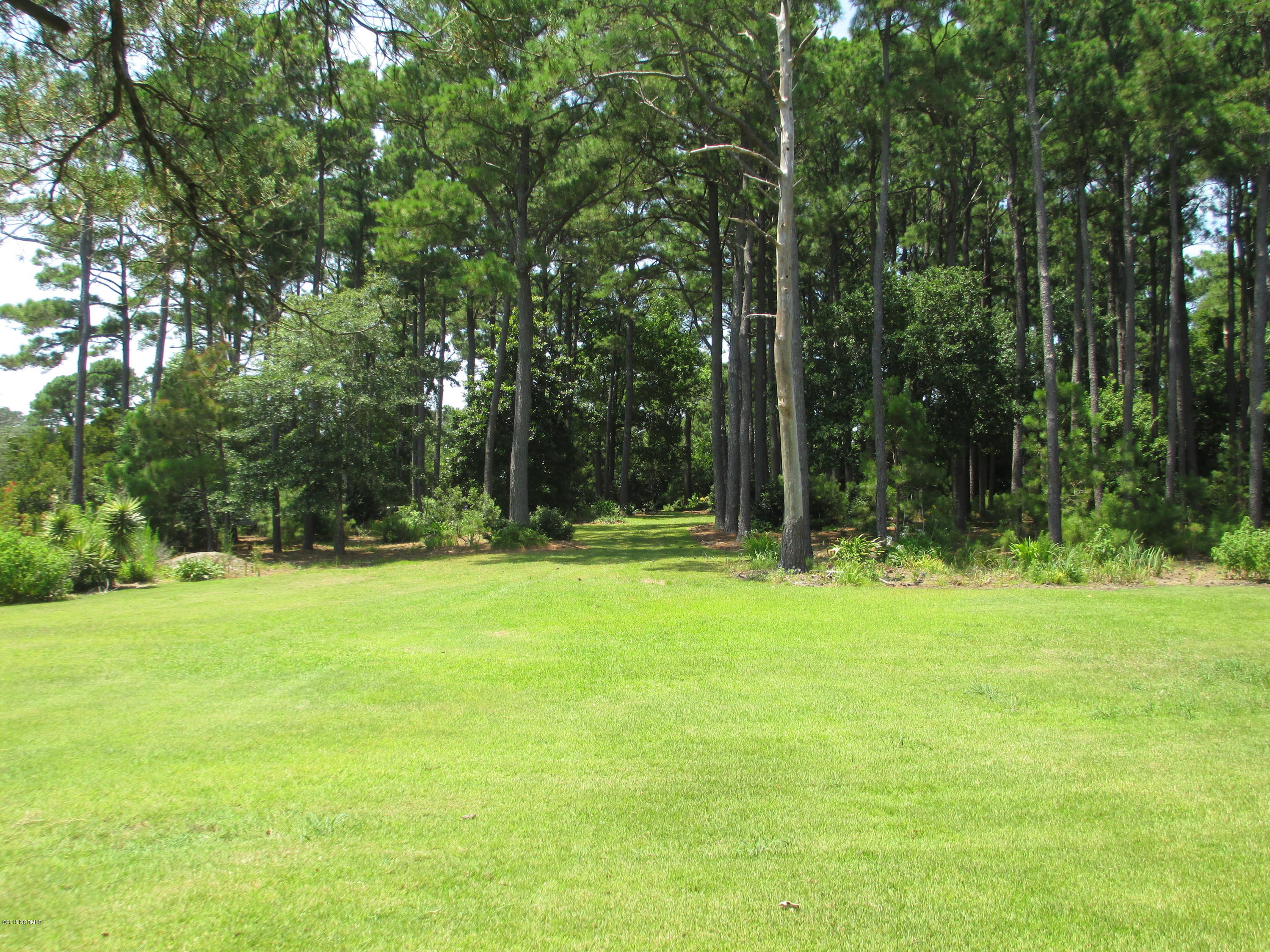 280 Goose Pond Road Marshallberg, NC 28553 - Photo 8 of 25 Two Acre Property