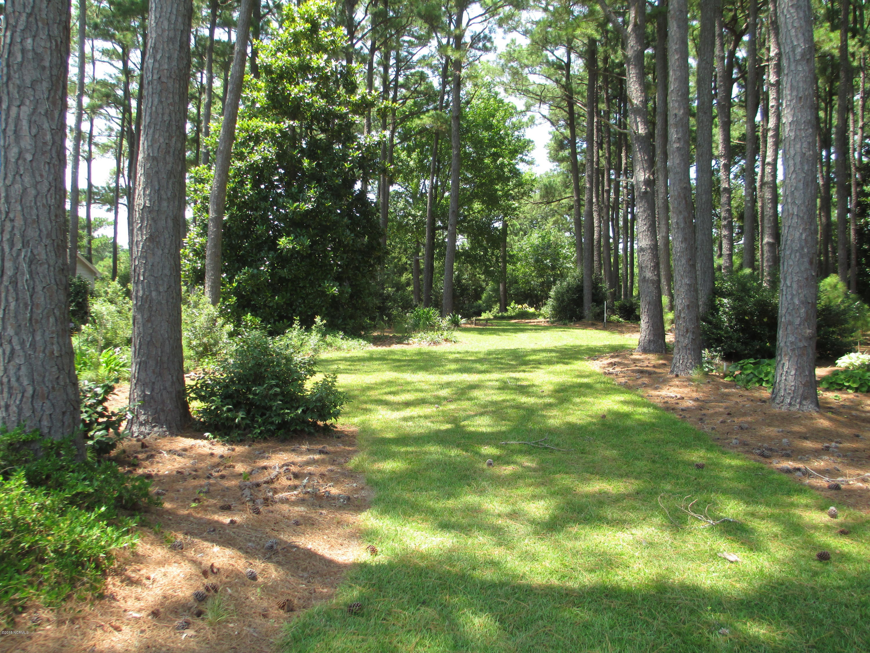 280 Goose Pond Road Marshallberg, NC 28553 - Photo 9 of 25 High Land with Septic
