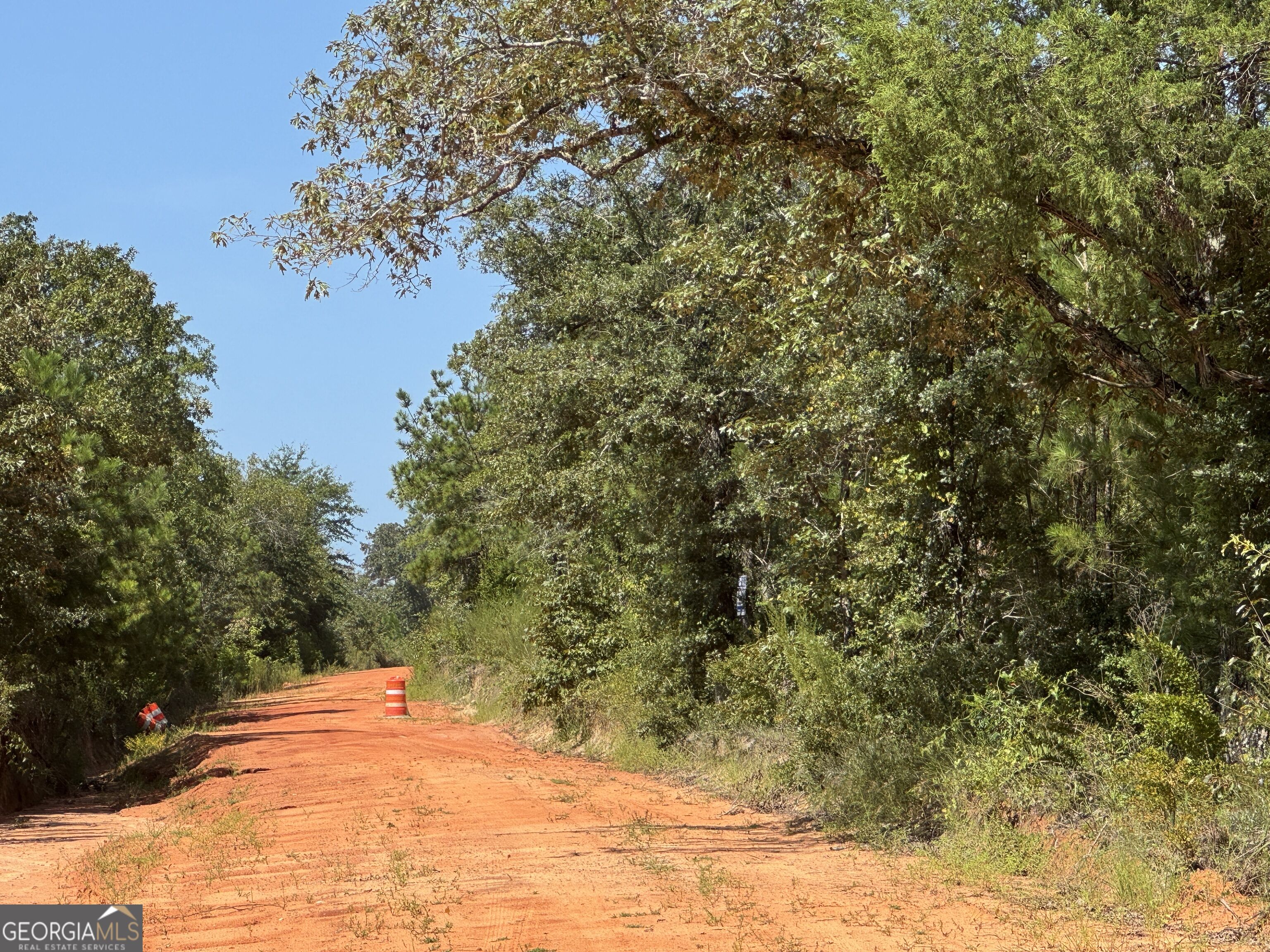 19.521-ac Herman Bell Road Mauk, GA 31058 - Photo 4 of 7 Gallery Image 4