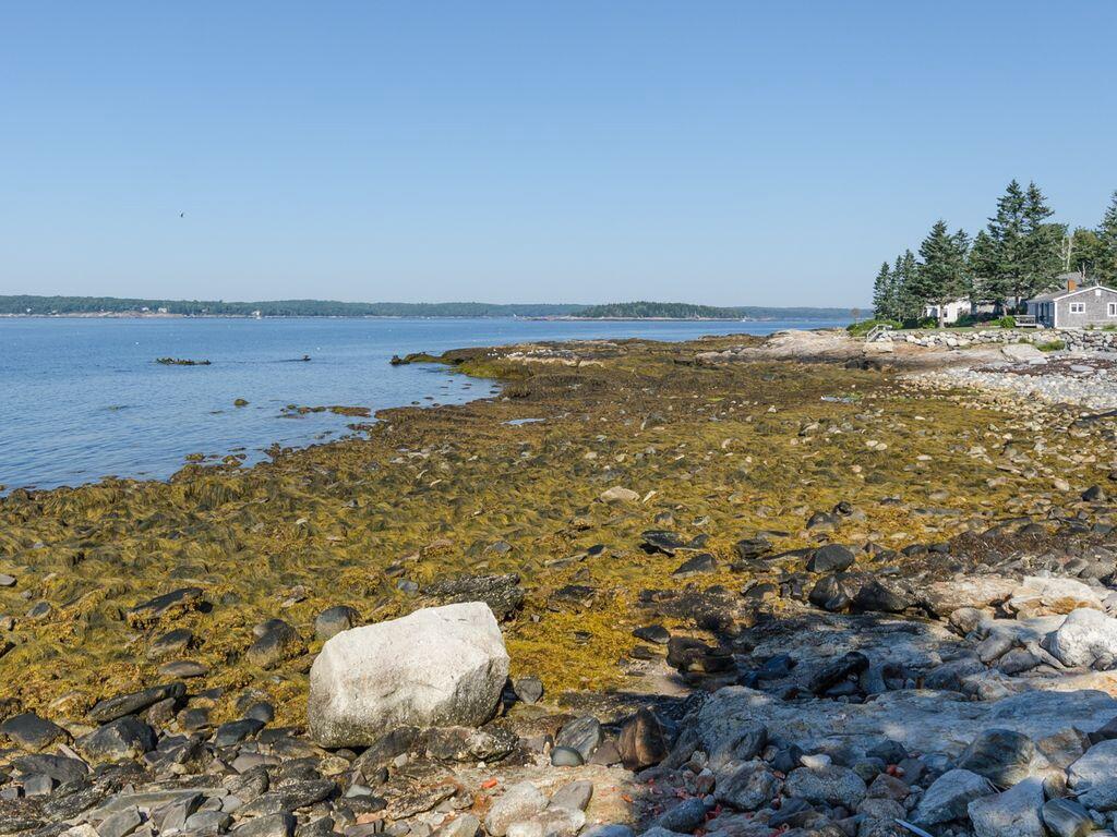 106 Seawood Park Road Bristol, ME 04554 - Photo 5 of 17 d288ab8f-674e-432f-adb4-e723508395fa.c10