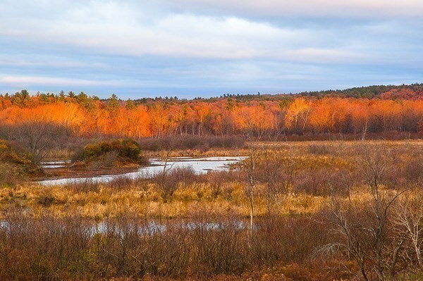 202 Still River Road Bolton, MA 01740 - Photo 31 of 42 Gallery Image 31