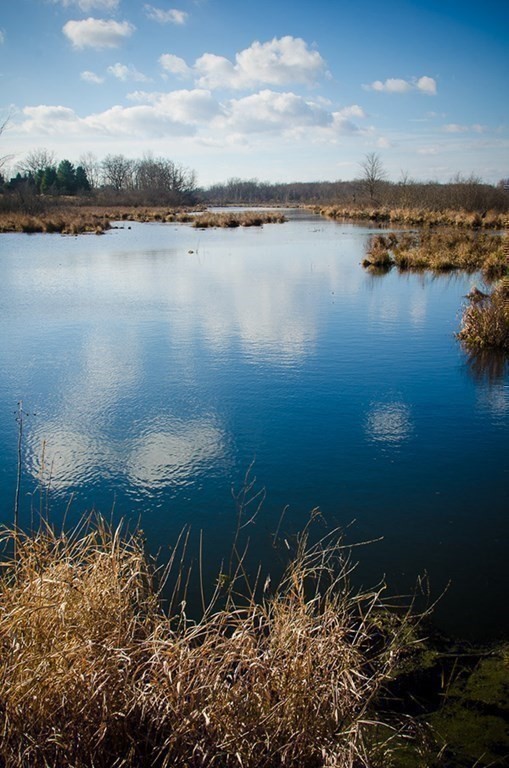 202 Still River Road Bolton, MA 01740 - Photo 39 of 42 Gallery Image 39