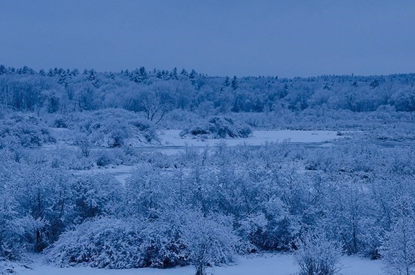 202 Still River Road Bolton, MA 01740 - Photo 40 of 42 Gallery Image 40