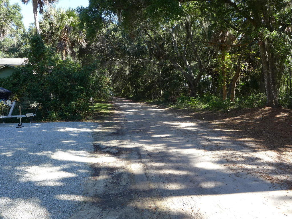 616 Jungle Road Edisto Beach, SC 29438 - Photo 41 of 45 616 Jungle Road... Dolphin