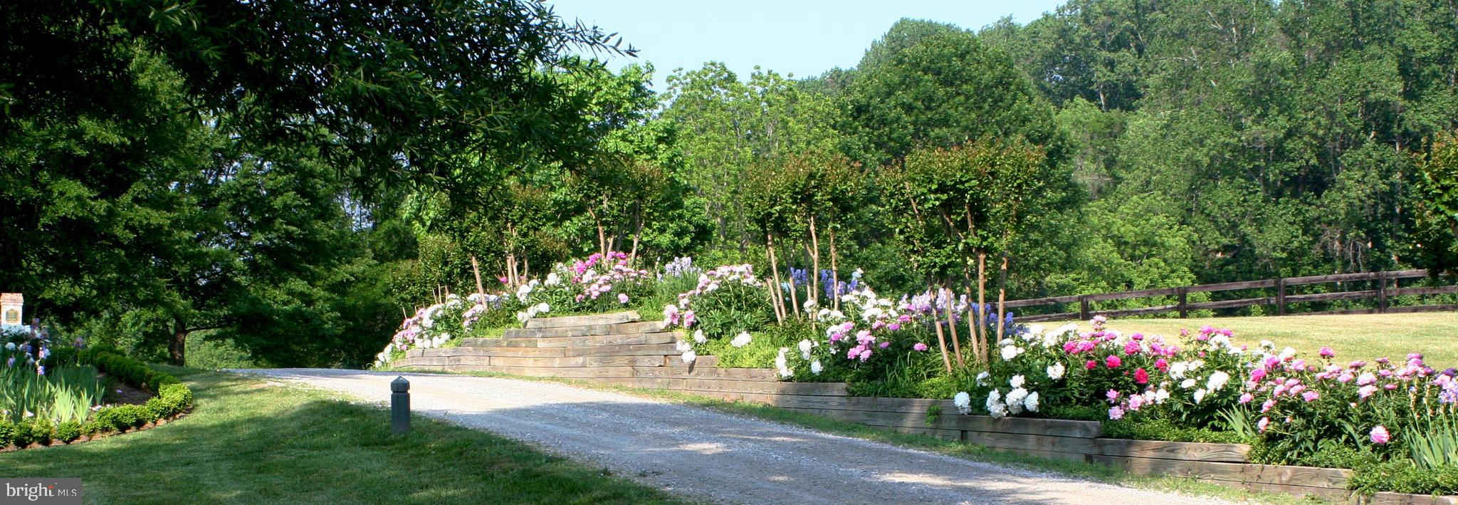 575 Lee Road Crozier, VA 23039 - Photo 39 of 45 Expansive gardens throughout the property