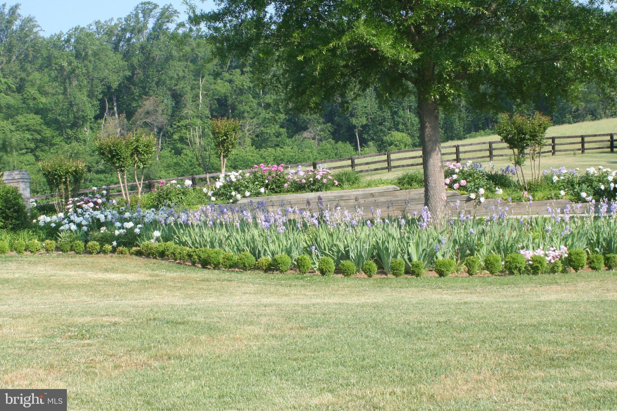 575 Lee Road Crozier, VA 23039 - Photo 44 of 45 Iris garden