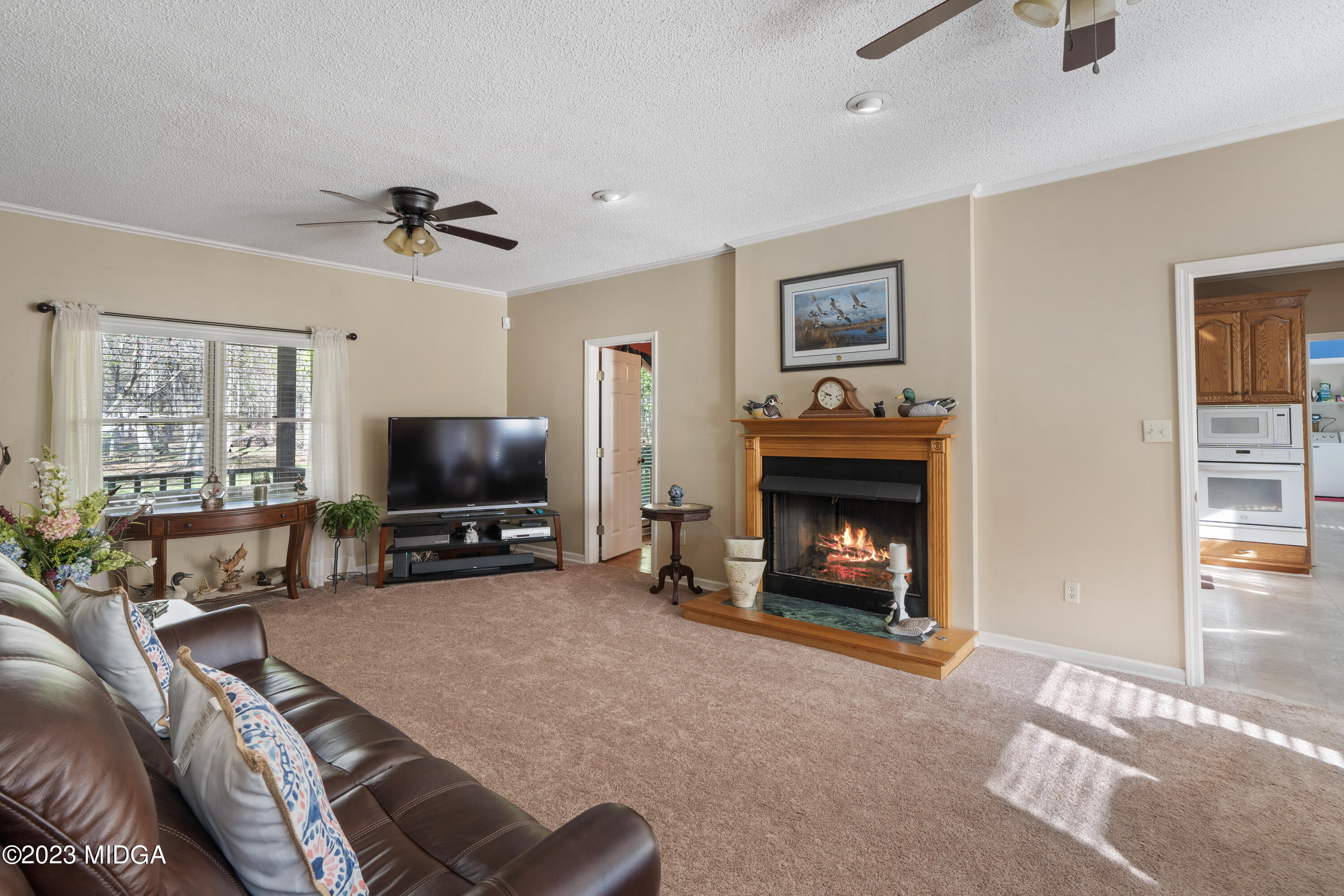 729 Sanders Road Macon, GA 31210 - Photo 4 of 29 a living room with furniture and a fireplace