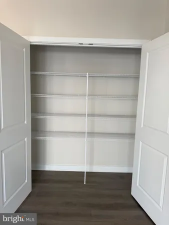 a room with walk in closet with empty racks
