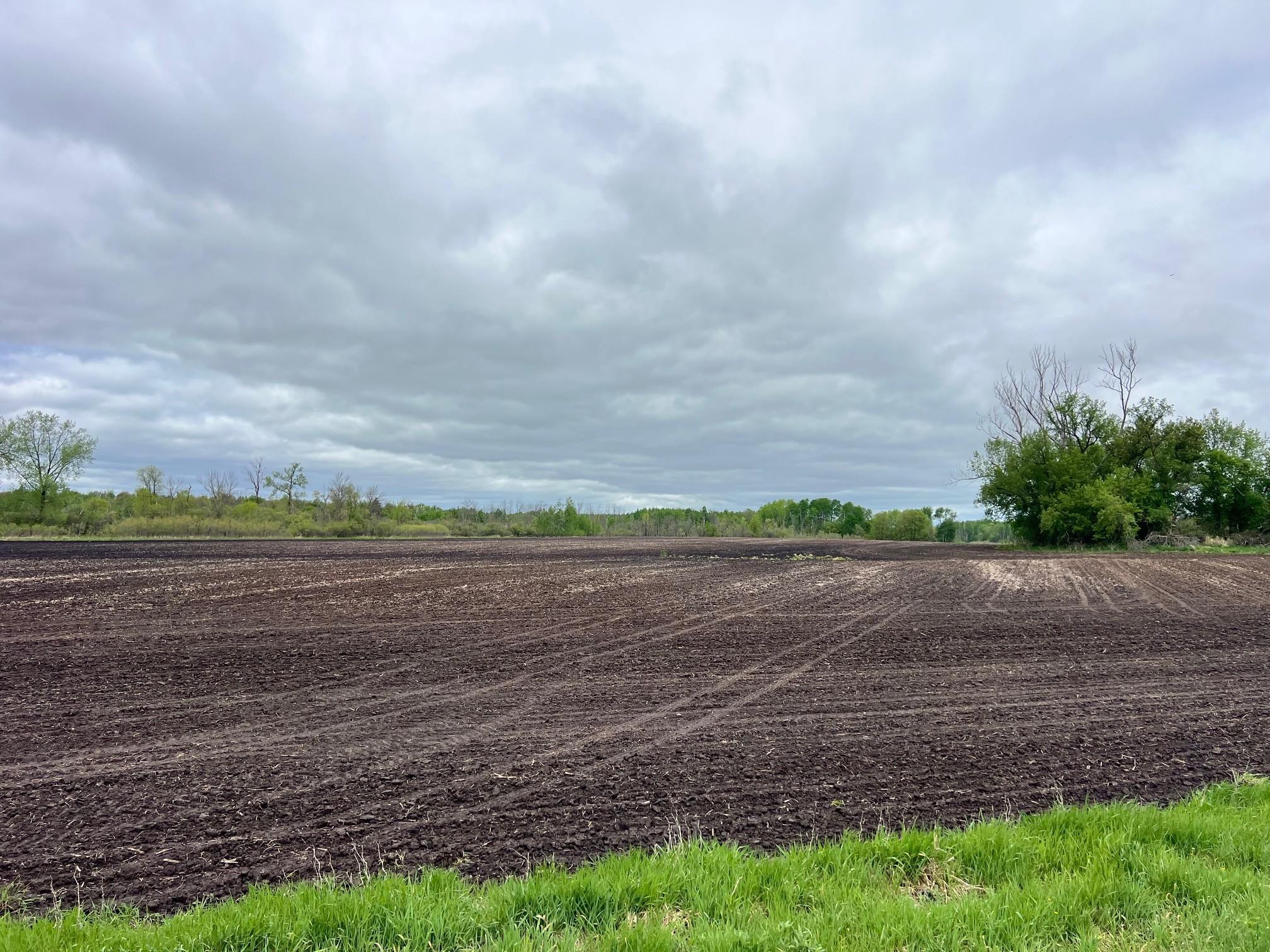 0 Xenon Road Northwest Dalbo, MN 55017 - Photo 7 of 29