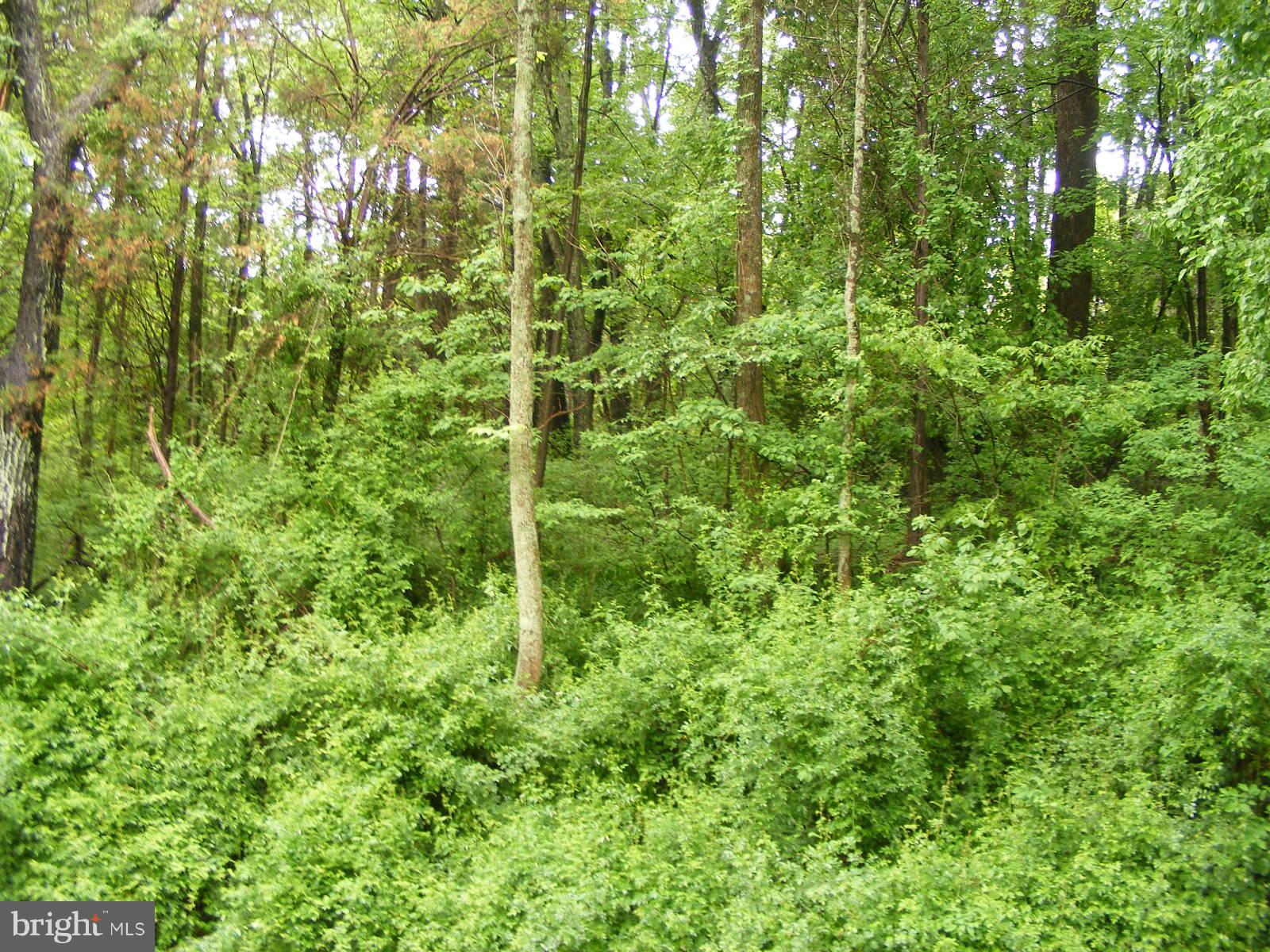 29.58 acres