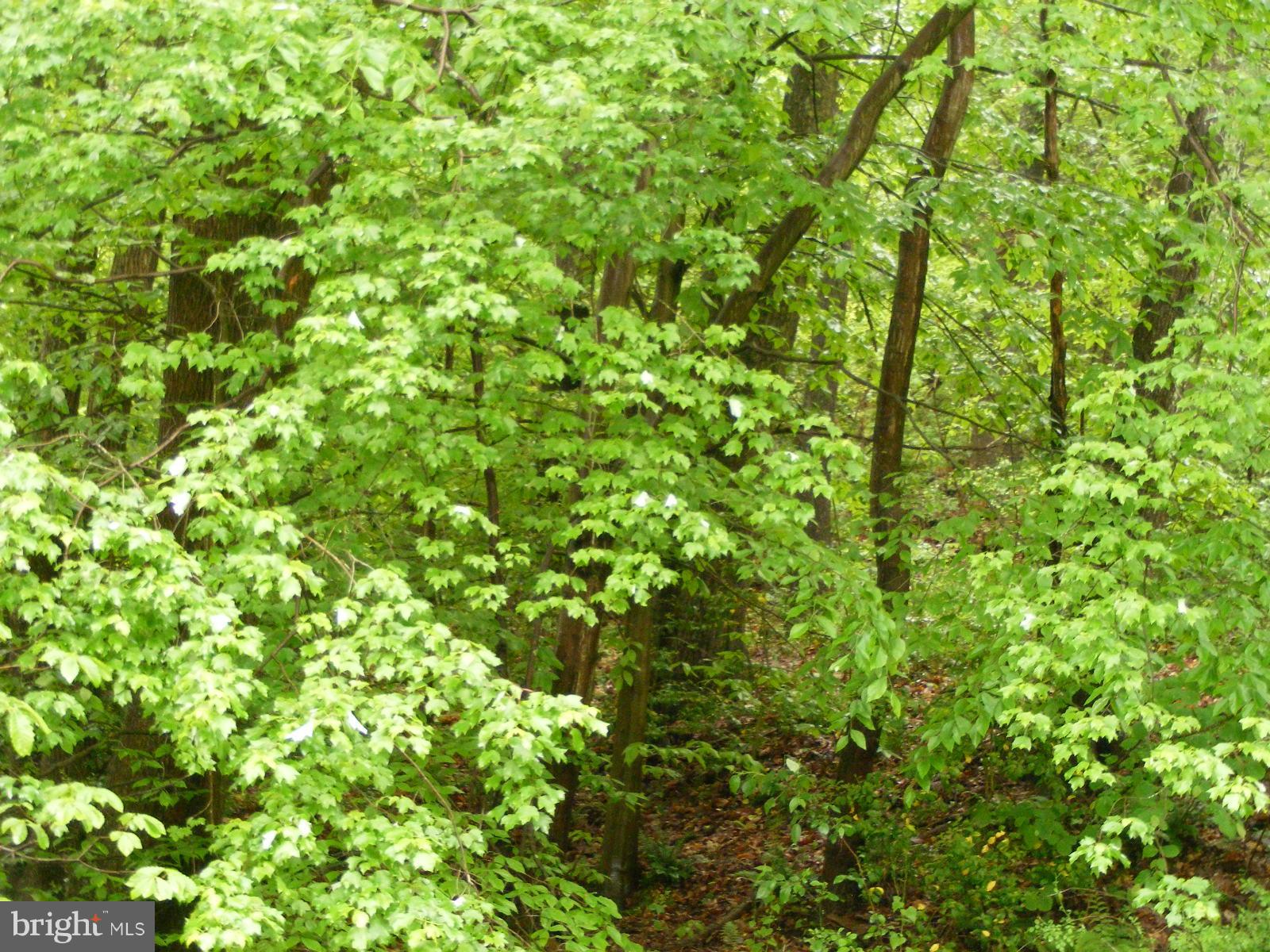 52 Dixie Line Road Elkton, MD 21921 - Photo 2 of 2 23.29 acres