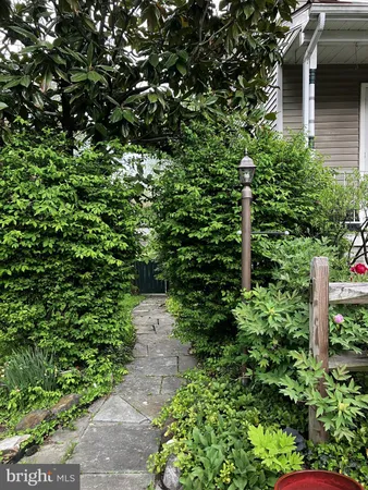 a view of a garden with flowers
