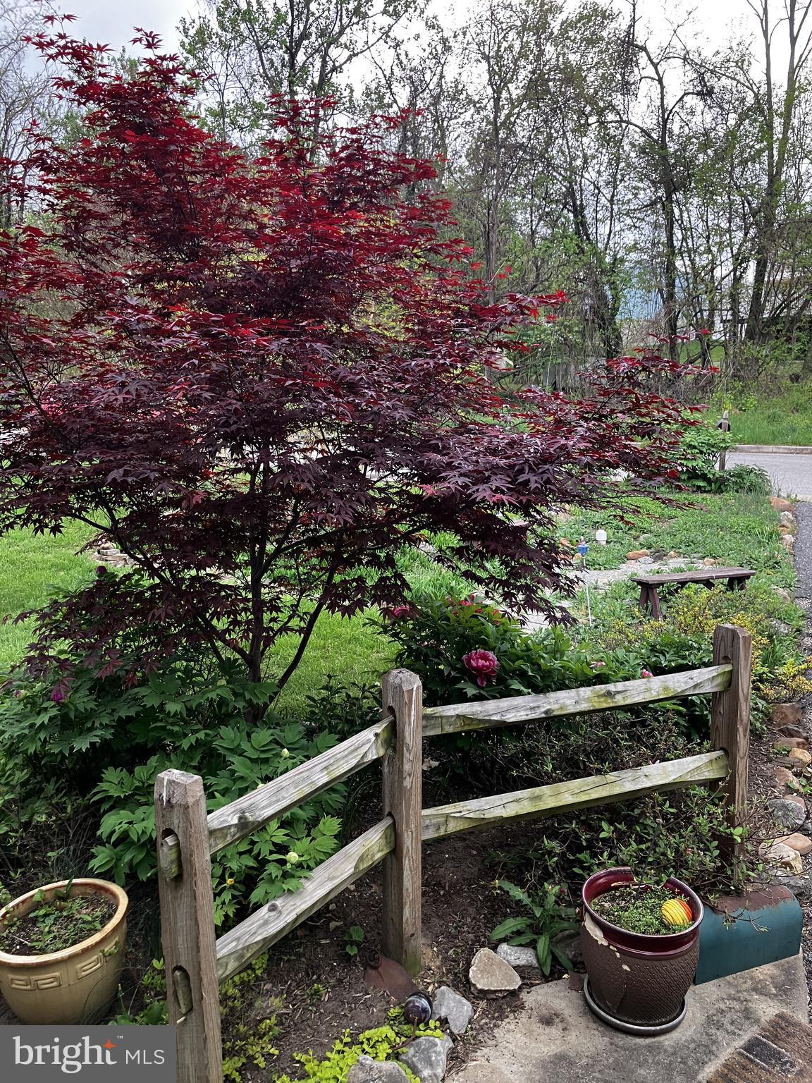 1111 Cummings Avenue Baltimore, MD 21228 - Photo 46 of 48 a view of an outdoor space and yard