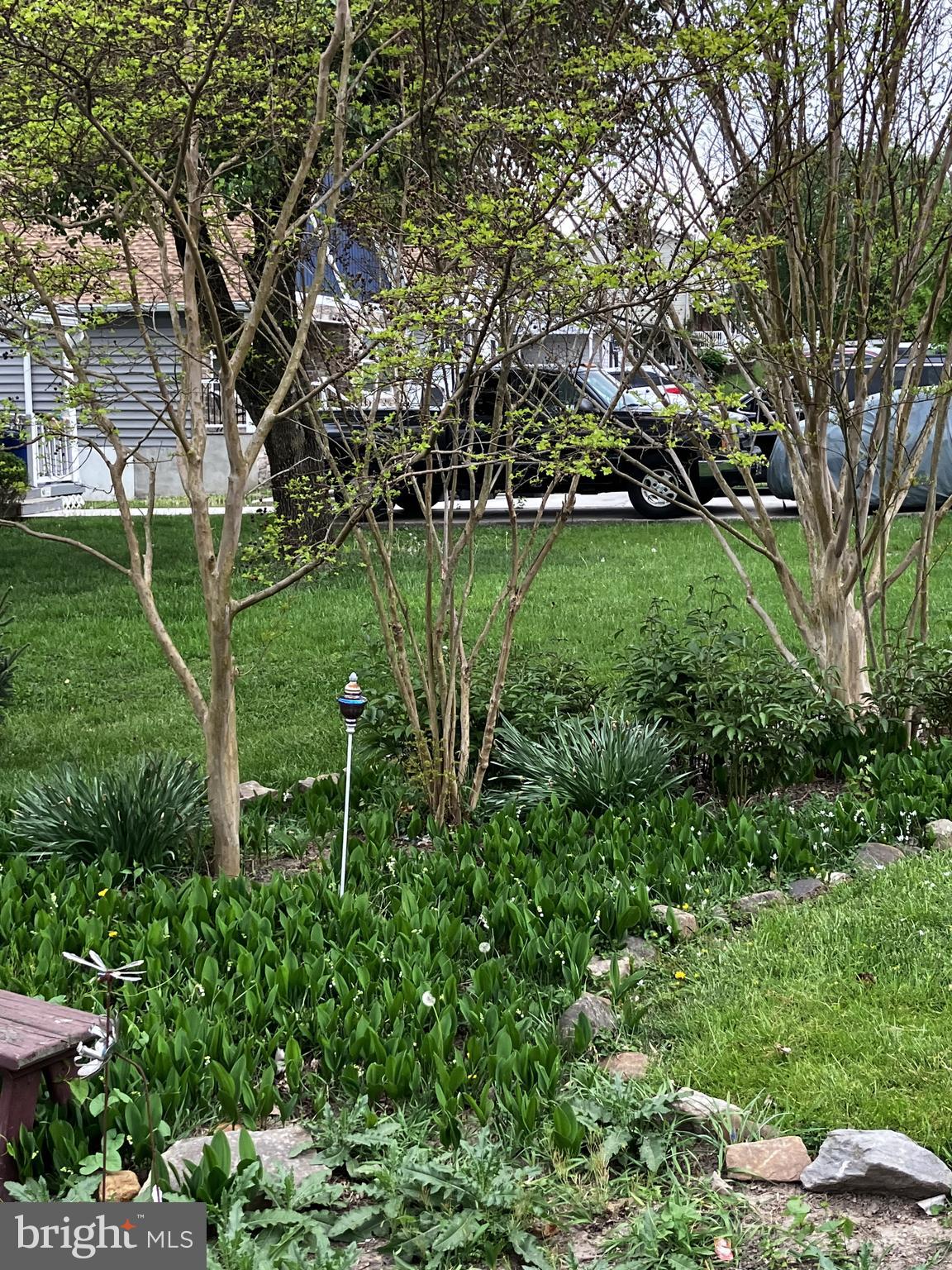 1111 Cummings Avenue Baltimore, MD 21228 - Photo 47 of 48 a view of a garden with a tree