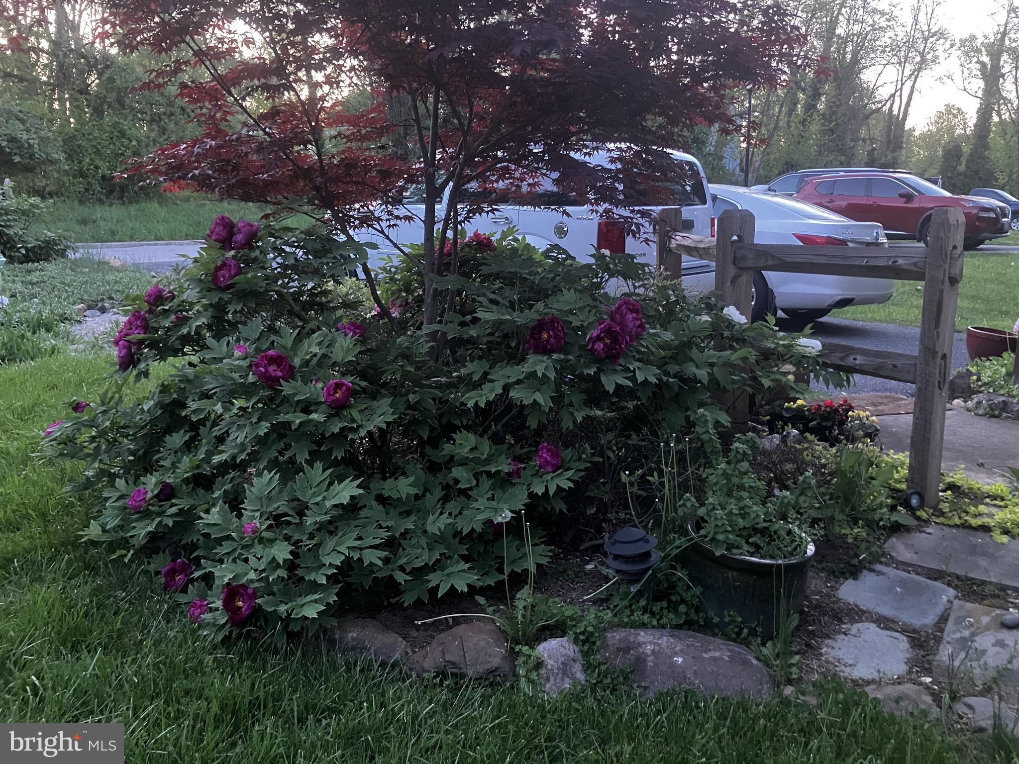 1111 Cummings Avenue Baltimore, MD 21228 - Photo 48 of 48 a view of a garden with flowers
