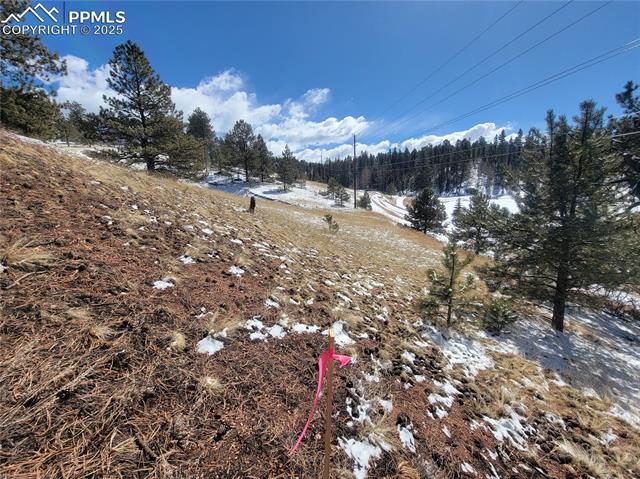 97 Arrowhead Road Florissant, CO 80816 - Photo 3 of 4