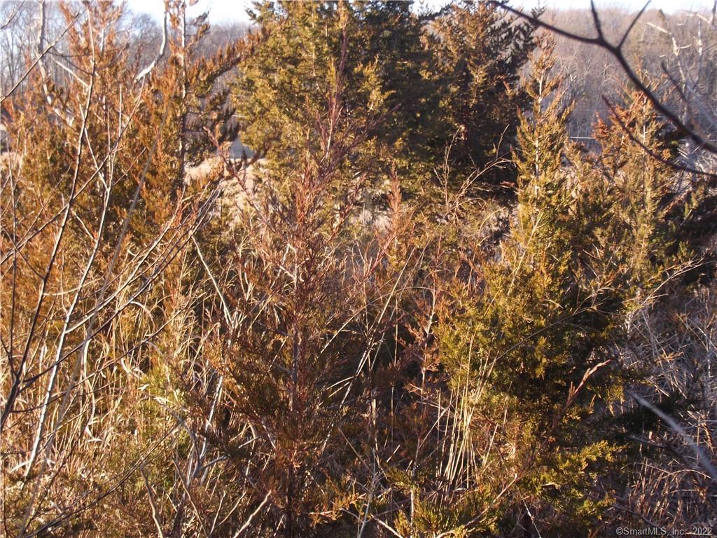 0 Hammock Road North Westbrook, CT 06498 - Photo 1 of 1 Lightly wooded lot