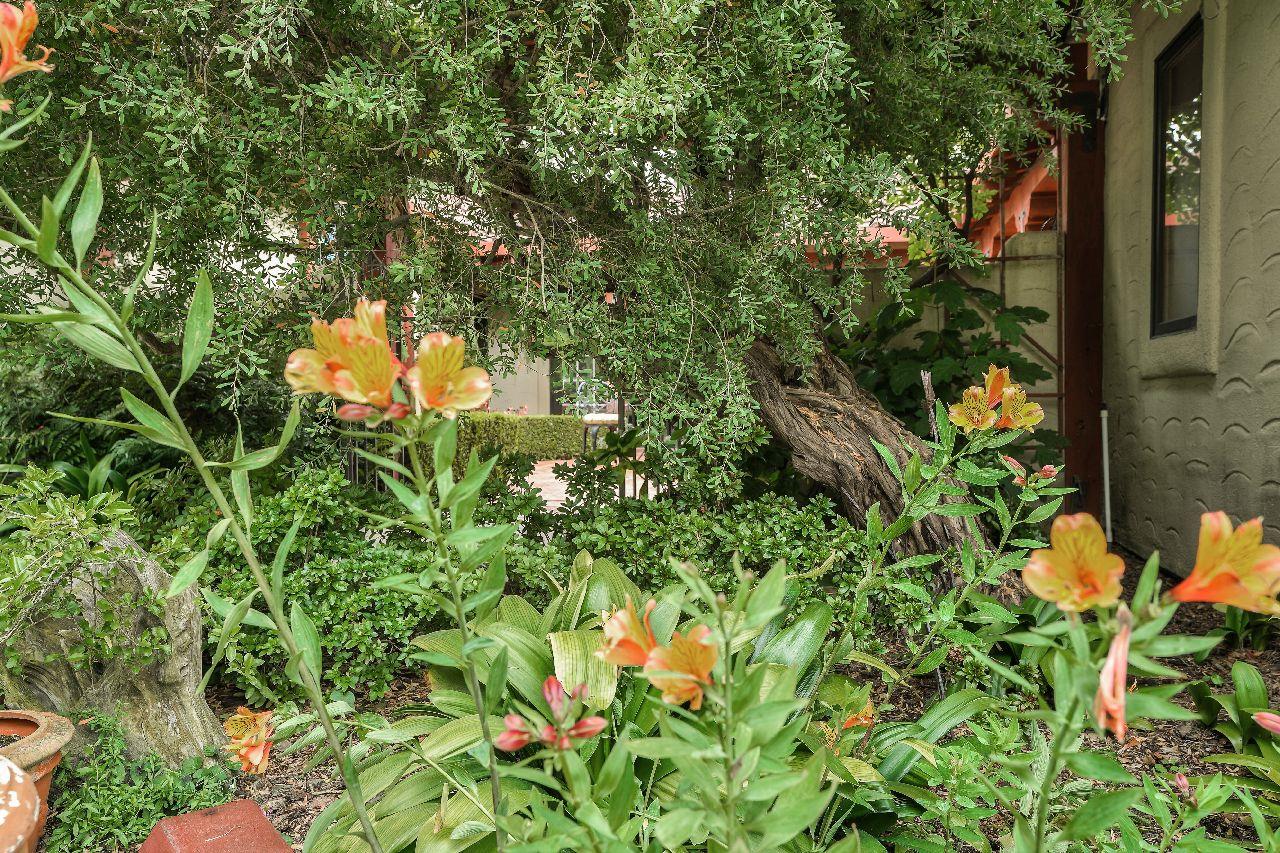 217 Peter Pan Road Carmel, CA 93923 - Photo 45 of 55 Gallery Image 45