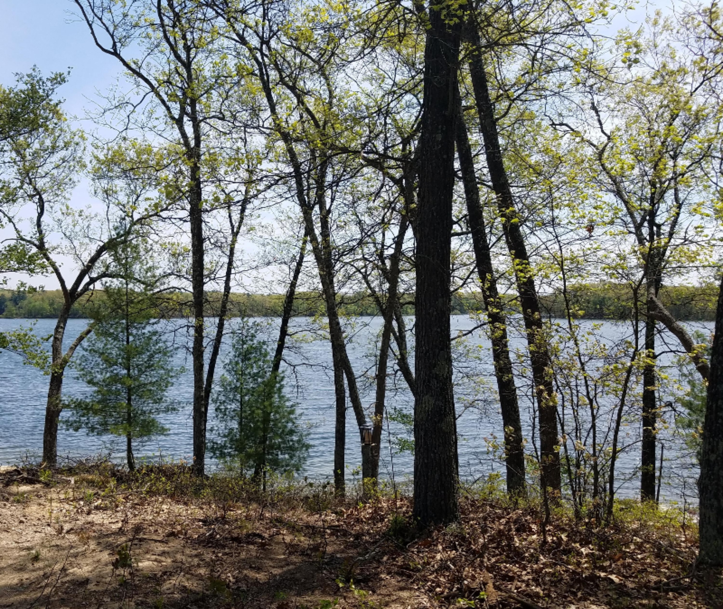 5007 East Manitou Way, Unit 36 Newaygo, MI 49337 - Photo 42 of 57 water view (4)