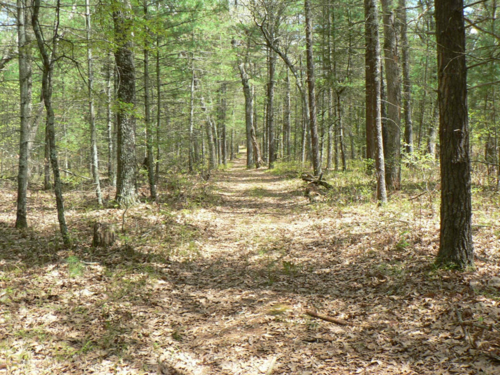 5007 East Manitou Way, Unit 36 Newaygo, MI 49337 - Photo 49 of 57 z1 P1090333