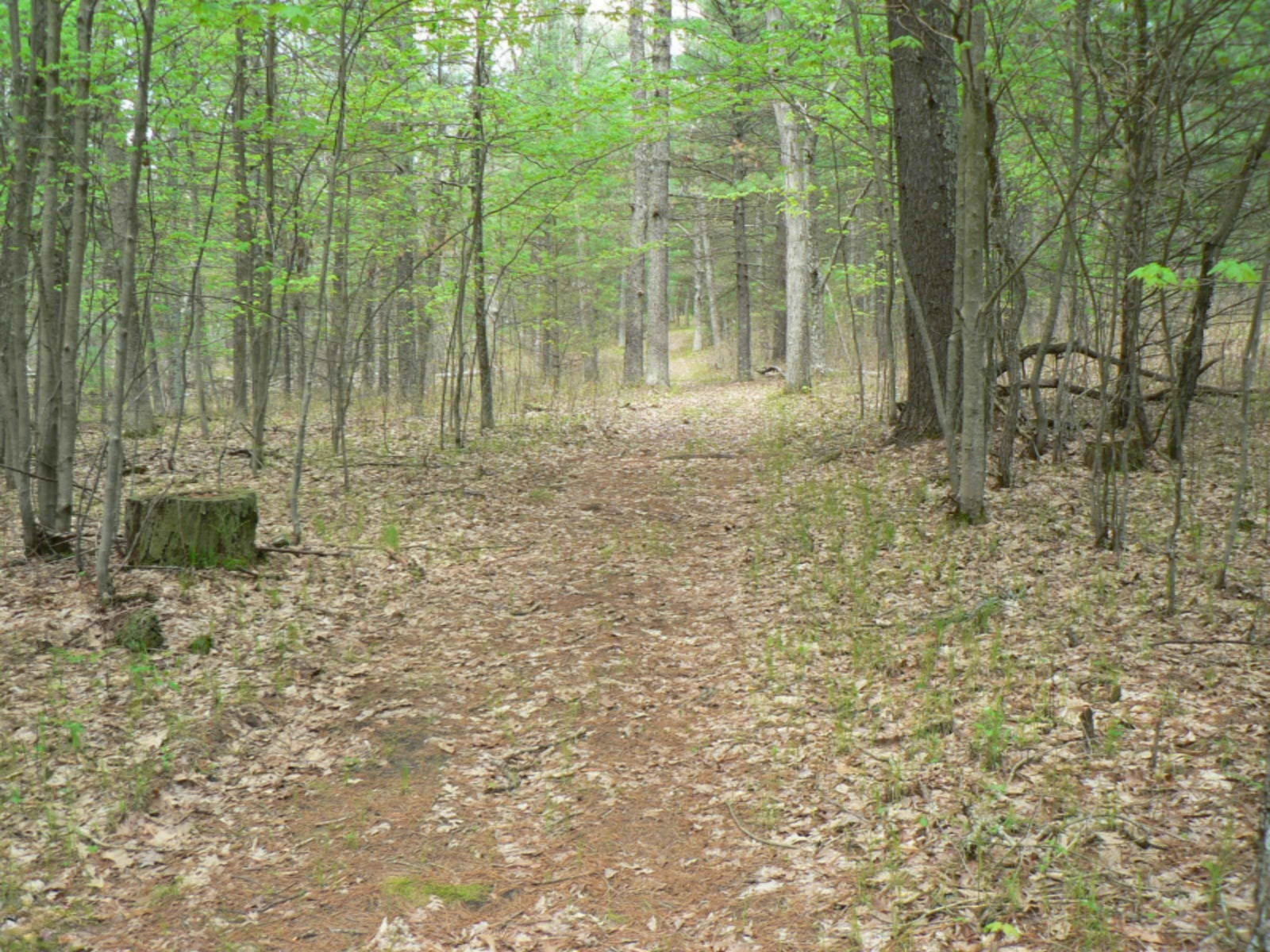 5007 East Manitou Way, Unit 36 Newaygo, MI 49337 - Photo 53 of 57 z4P1090329