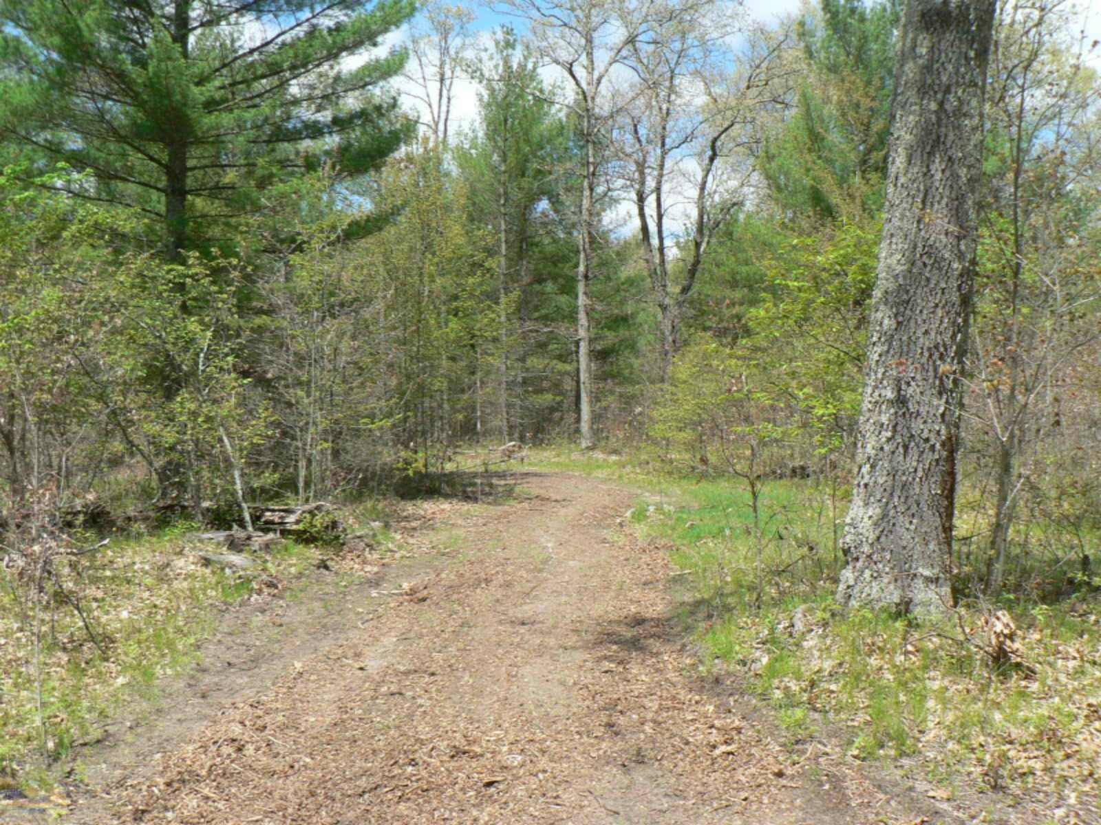 5007 East Manitou Way, Unit 36 Newaygo, MI 49337 - Photo 57 of 57 z8 P1090320