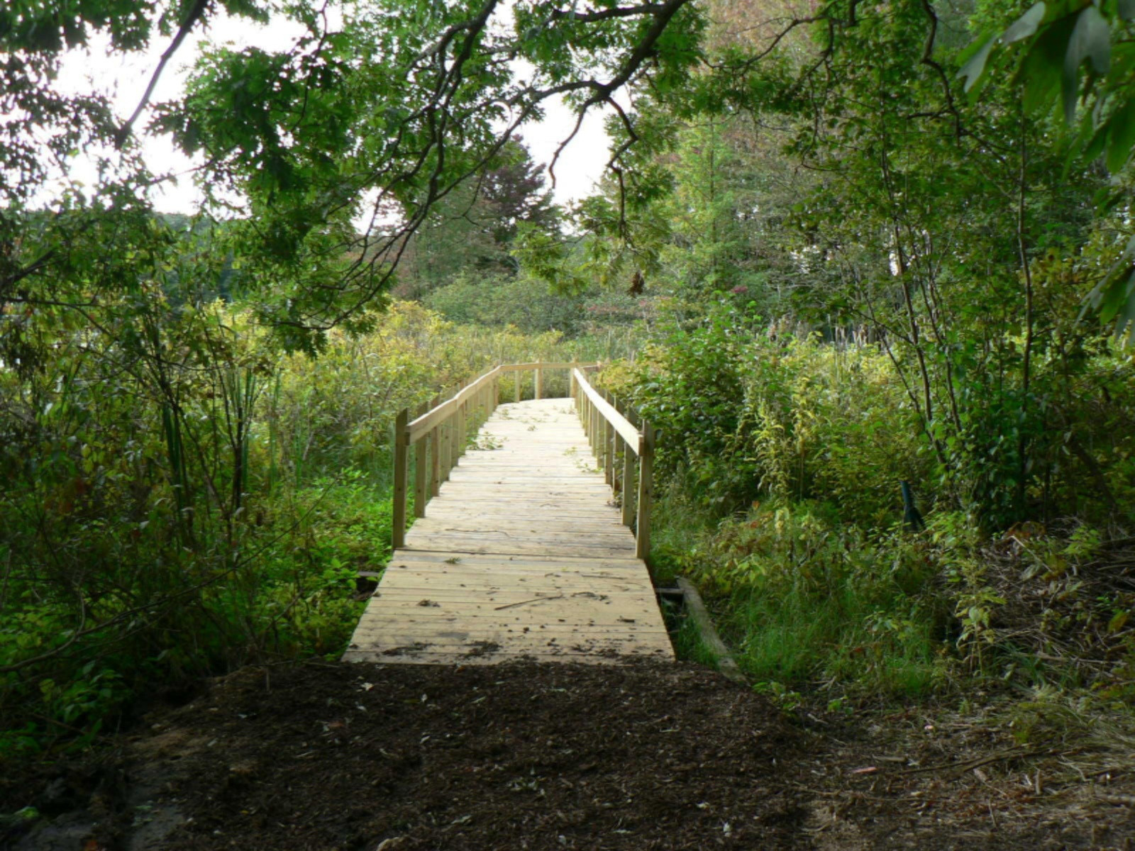 5007 East Manitou Way, Unit 36 Newaygo, MI 49337 - Photo 7 of 57 11