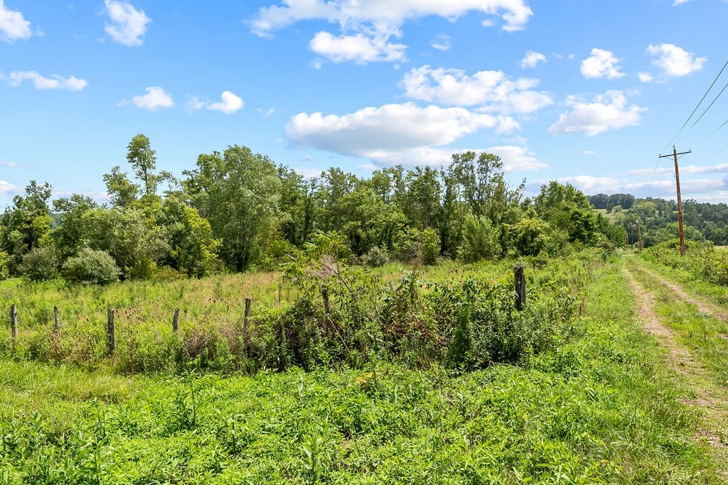 Tbd Tbd Chiswell Road, Unit 2328 Max Meadows, VA 24360 - Photo 14 of 17 Gallery Image 14