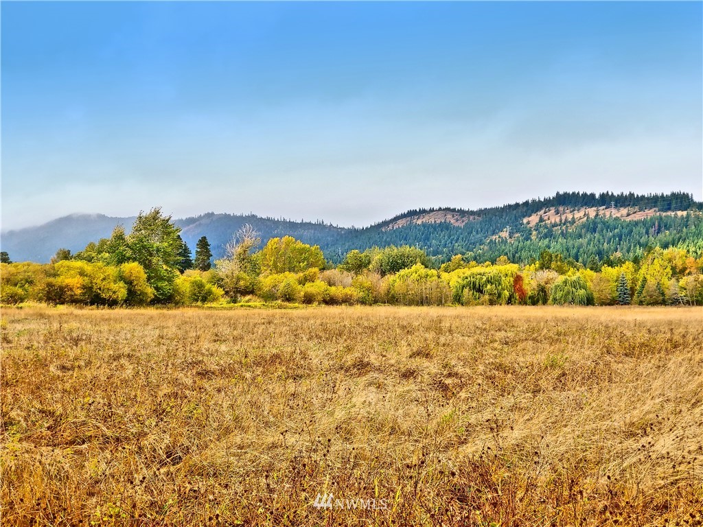 Three Lakes Road Cle Elum, WA 98922 - Photo 2 of 21 Gallery Image 2