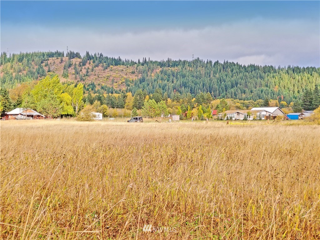 Three Lakes Road Cle Elum, WA 98922 - Photo 11 of 21 Gallery Image 11