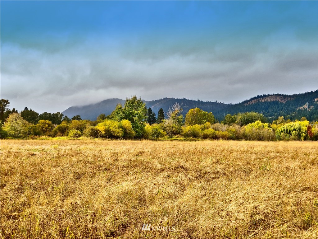 Three Lakes Road Cle Elum, WA 98922 - Photo 3 of 21 Gallery Image 3