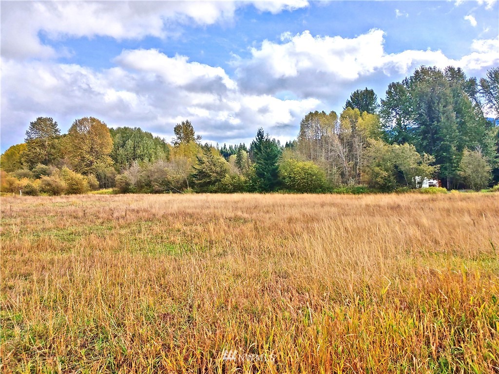 Three Lakes Road Cle Elum, WA 98922 - Photo 4 of 21 Gallery Image 4