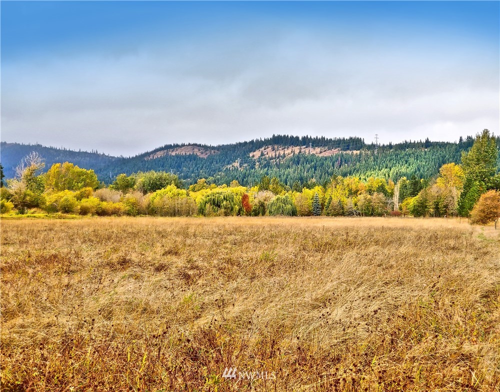 Three Lakes Road Cle Elum, WA 98922 - Photo 5 of 21 Gallery Image 5