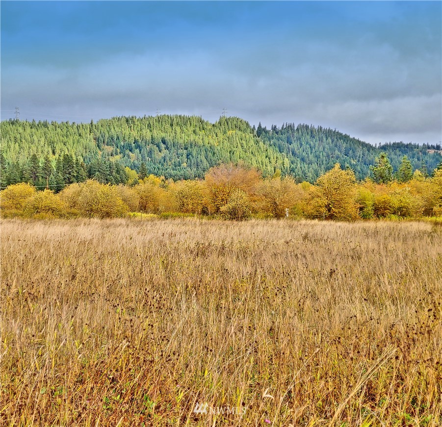 Three Lakes Road Cle Elum, WA 98922 - Photo 10 of 21 Gallery Image 10