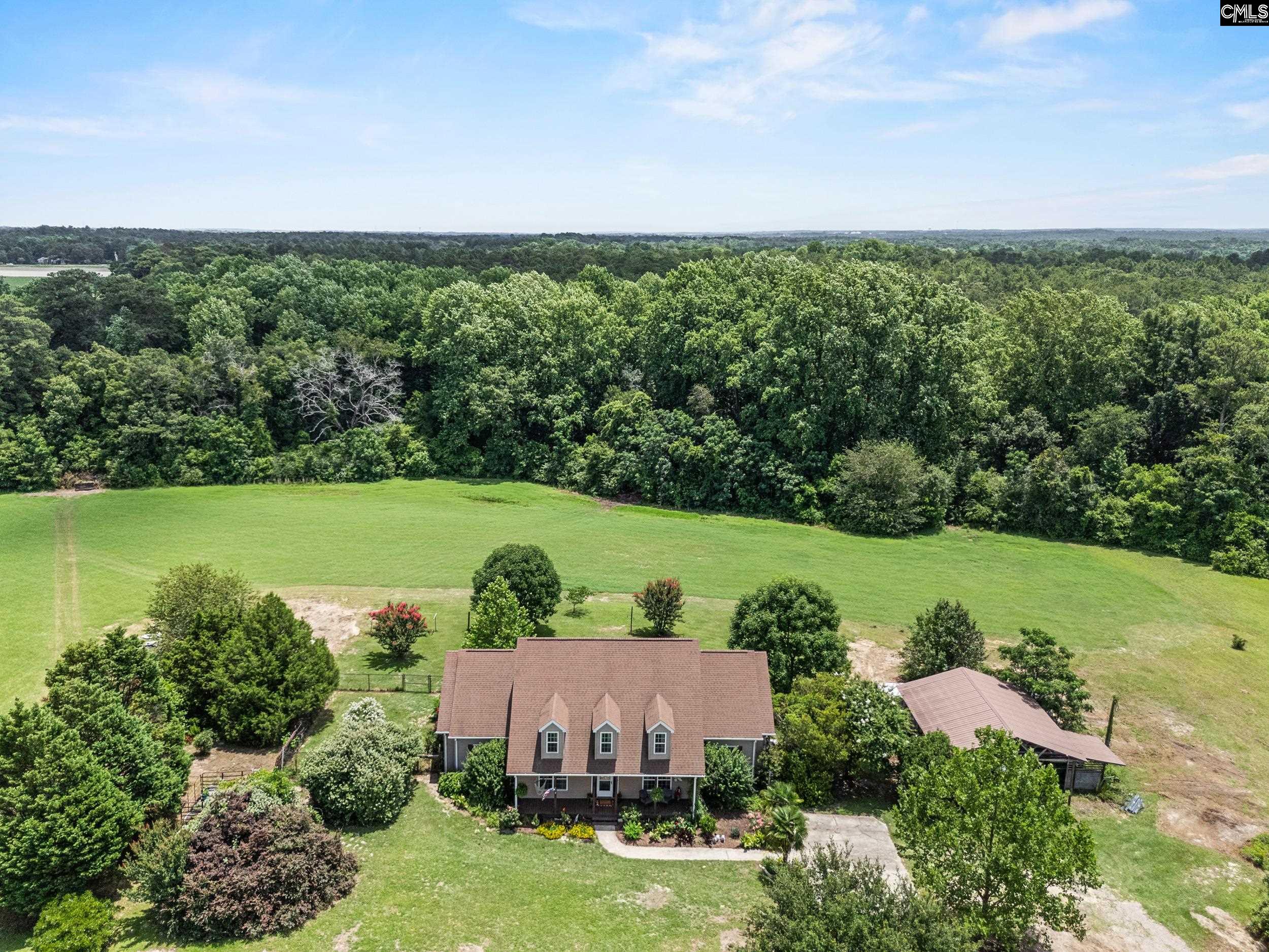 321 Windy Road Gilbert, SC 29054 - Photo 38 of 43