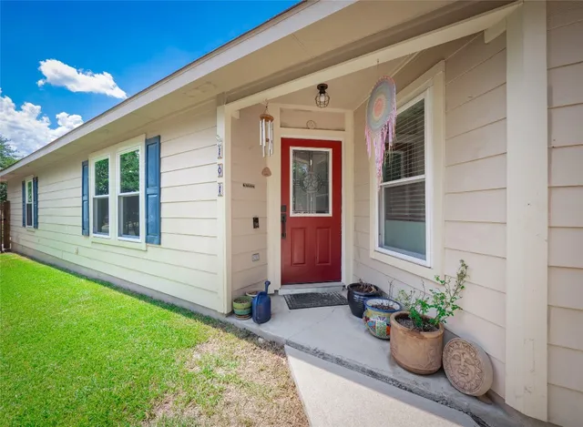 a potted plant sitting in front of a house